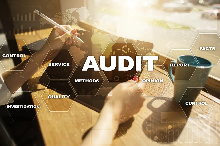 Concept graphics with the word audit